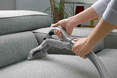 our upholstery cleaning package